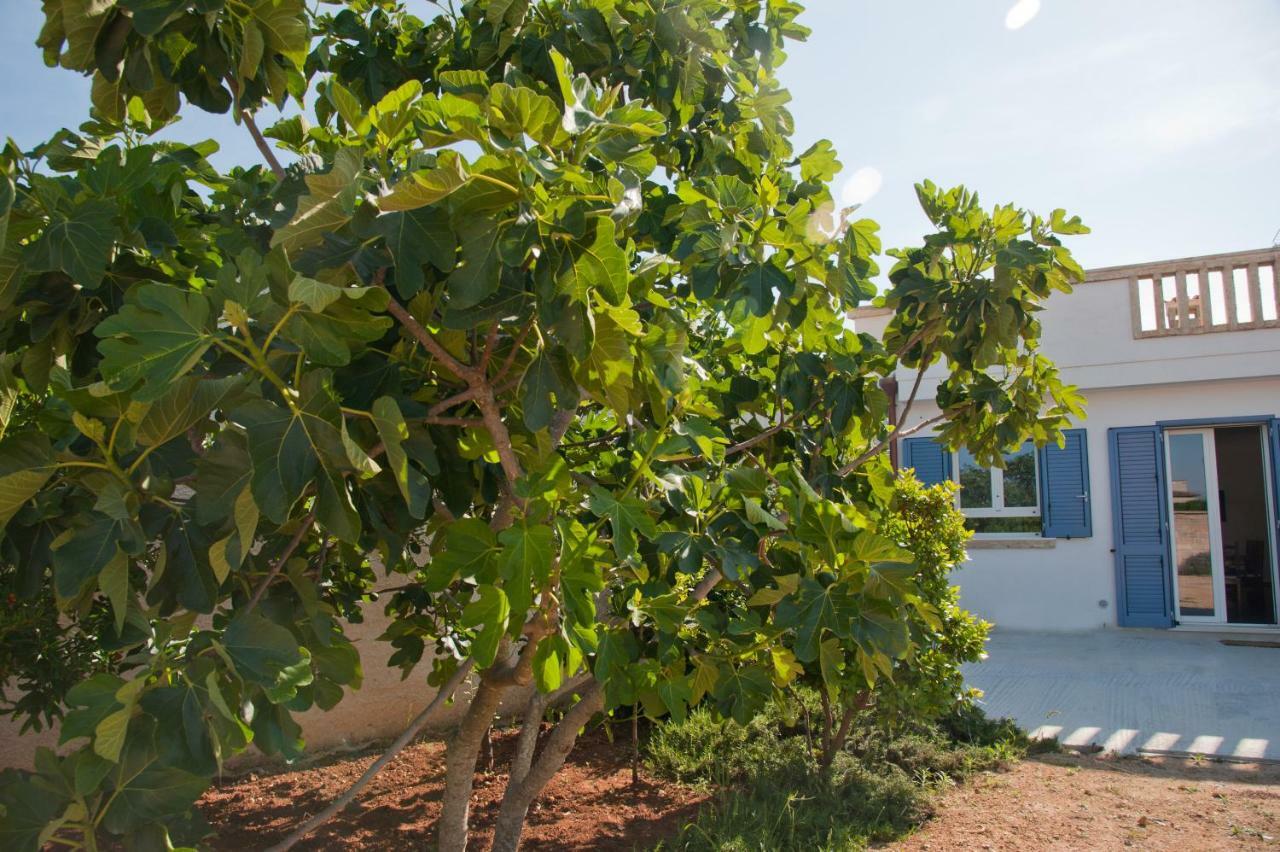 Li Curti B&B Melissano Exterior foto