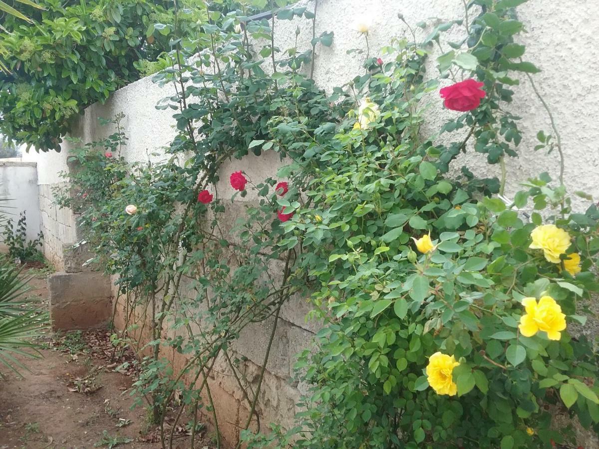 Li Curti B&B Melissano Exterior foto